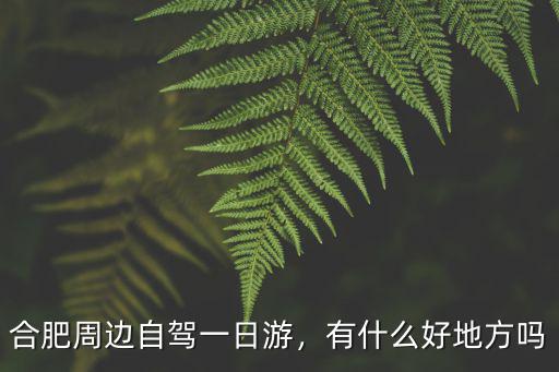 合肥周邊自駕一日游，有什么好地方嗎