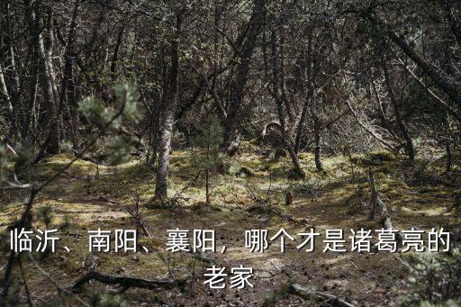 諸葛亮是南陽哪里的,真的是諸葛亮的故居嗎