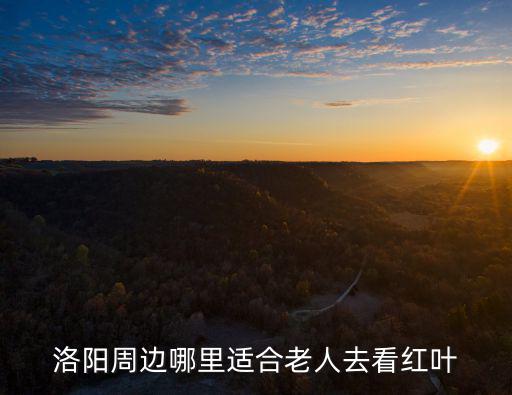 洛陽哪里有楓樹,洛陽有楓葉林嗎