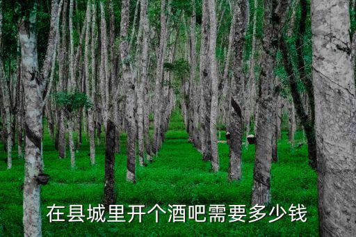 鄭州開(kāi)個(gè)小酒館需要投資多少錢,在縣城里開(kāi)個(gè)酒吧需要多少錢