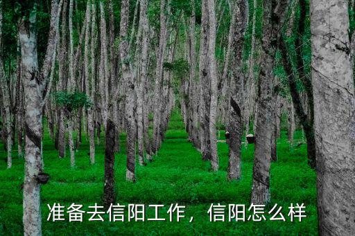 信陽喜相逢怎么樣,信陽消費水平怎么樣