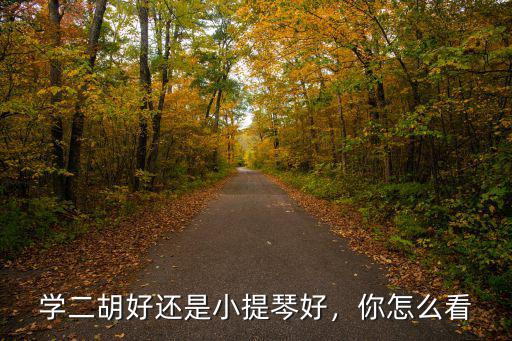 學二胡好還是小提琴好，你怎么看