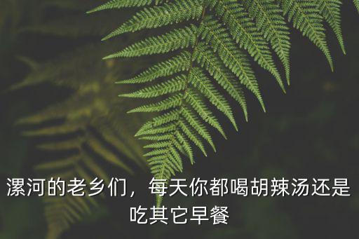 漯河的老鄉們，每天你都喝胡辣湯還是吃其它早餐