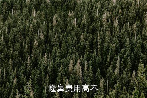 鄭州隆鼻多少費用認準東方,隆鼻費用高不