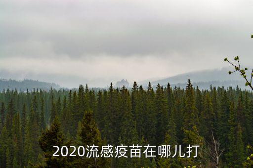 2020流感疫苗在哪兒打