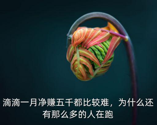 滴滴一月凈賺五千都比較難，為什么還有那么多的人在跑