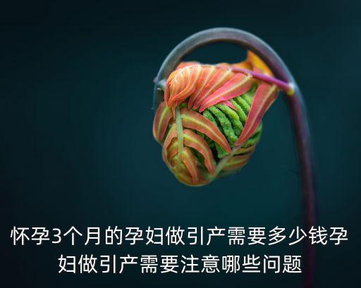 懷孕3個月的孕婦做引產(chǎn)需要多少錢孕婦做引產(chǎn)需要注意哪些問題
