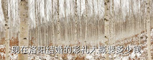 河南洛陽娶媳婦彩禮多少錢,河南娶媳婦彩禮真高