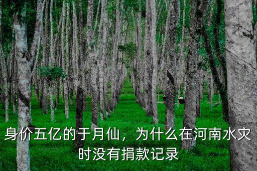 身價五億的于月仙，為什么在河南水災時沒有捐款記錄