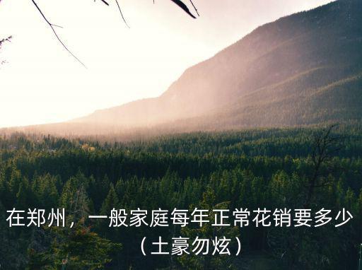 在鄭州，一般家庭每年正?；ㄤN要多少（土豪勿炫）