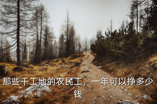 漯河大哥一年掙多少錢,一年可以掙多少錢