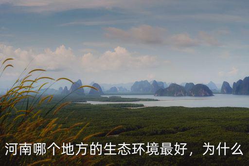 河南哪里的雜技最好,河南的雜技之鄉(xiāng)