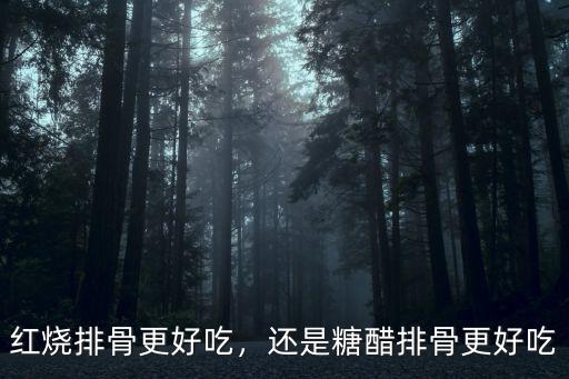 紅燒排骨更好吃，還是糖醋排骨更好吃