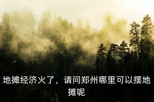 擺攤?cè)ム嵵菽睦锖?請問鄭州都那里可以擺攤