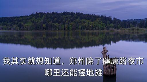 我其實就想知道，鄭州除了健康路夜市哪里還能擺地攤