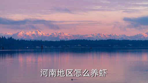 河南地區(qū)怎么養(yǎng)蝦