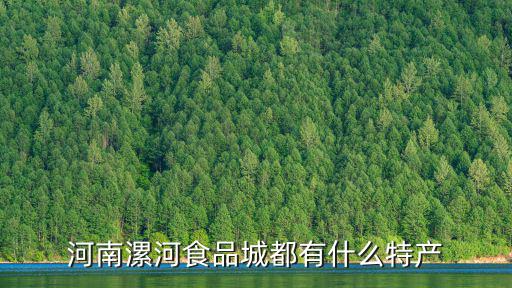 河南漯河食品城都有什么特產