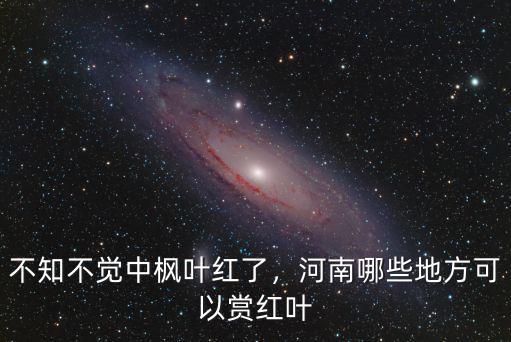 不知不覺中楓葉紅了，河南哪些地方可以賞紅葉
