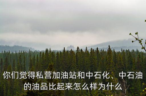 你們覺得私營加油站和中石化、中石油的油品比起來怎么樣為什么
