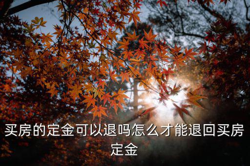 新鄉買房定金怎么退還,買房的定金可以退嗎