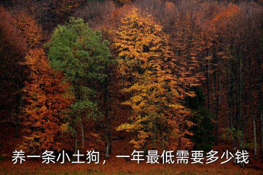 養一條小土狗，一年最低需要多少錢