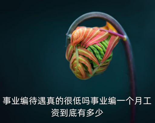 河南西平全額事業(yè)編工資都有多少,事業(yè)編一個月工資到底有多少