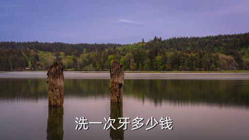 商丘現在洗牙多少錢,洗一次牙多少錢