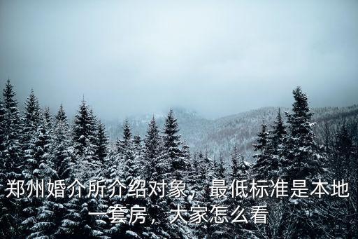 鄭州婚介所介紹對象，最低標(biāo)準(zhǔn)是本地一套房，大家怎么看