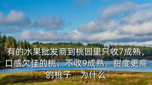 有的水果批發商到桃園里只收7成熟，口感欠佳的桃，不收9成熟，甜度更高的桃子，為什么