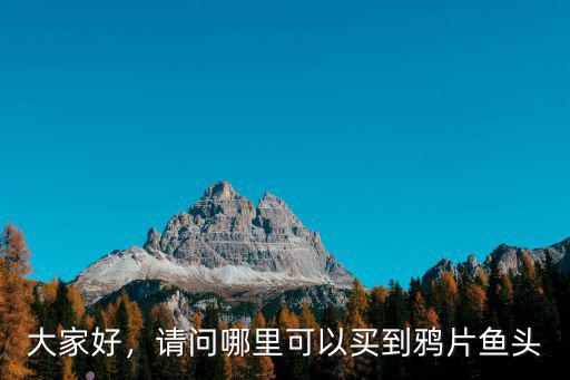 大家好，請問哪里可以買到鴉片魚頭