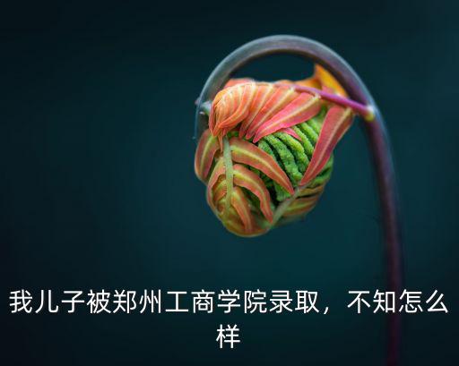 鄭州事業編院校怎么樣,鄭州師范學院怎么樣