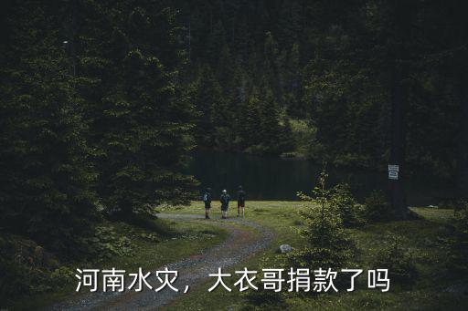 河南水災(zāi)小米捐款多少,河南水災(zāi)少林寺捐款了嗎