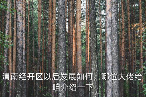 新鄉經開區未來發展怎么樣,焦作新區未來能發展成怎么樣