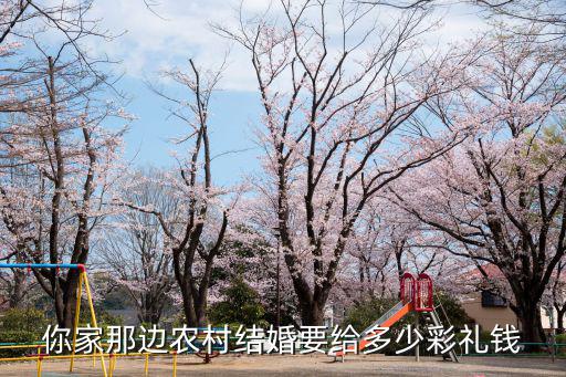 河南壯陽(yáng)農(nóng)村彩禮多少錢,河南南陽(yáng)彩禮多少錢