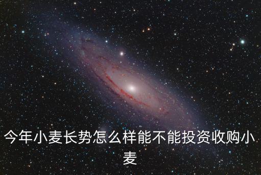 今年小麥長勢怎么樣能不能投資收購小麥