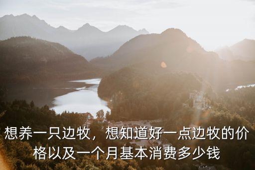 新鄉(xiāng)邊牧多少錢(qián)一只,想養(yǎng)一只邊牧