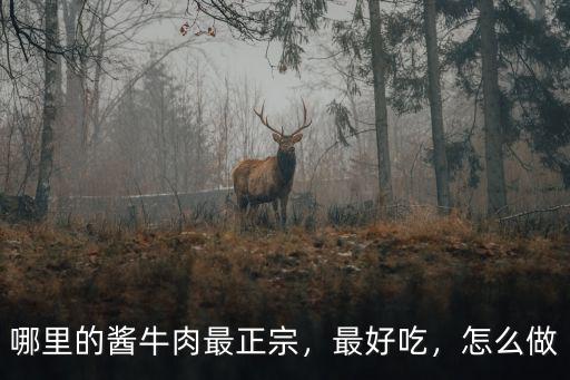 哪里的醬牛肉最正宗，最好吃，怎么做