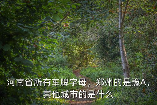 河南省所有車牌字母，鄭州的是豫A，其他城市的是什么