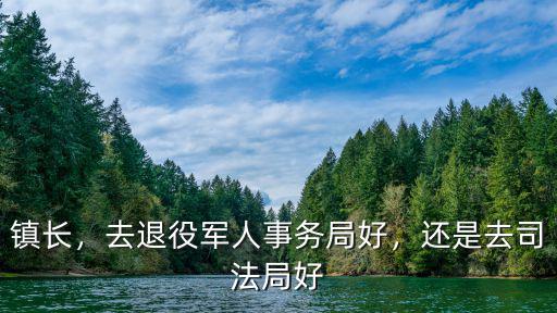 鎮(zhèn)長(zhǎng)，去退役軍人事務(wù)局好，還是去司法局好