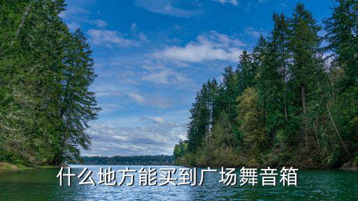 什么地方能買到廣場舞音箱