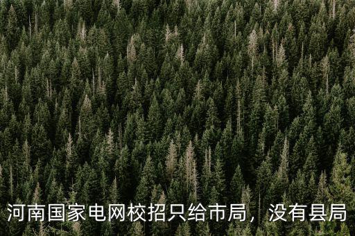 河南國家電網校招只給市局，沒有縣局