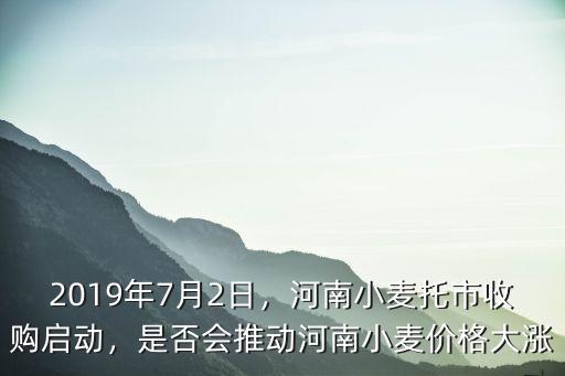 河南哪里收購麥,河南小麥托市收購啟動