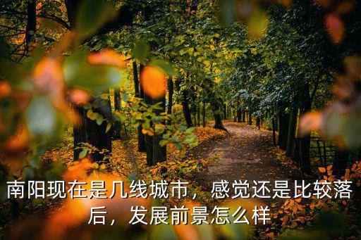 南陽現在是幾線城市，感覺還是比較落后，發展前景怎么樣