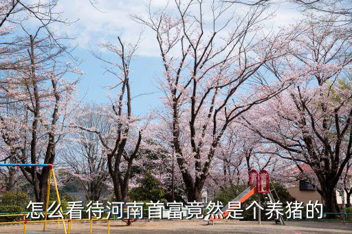 河南百萬富翁是怎么發家的,周鴻祎的發家史是怎么樣的