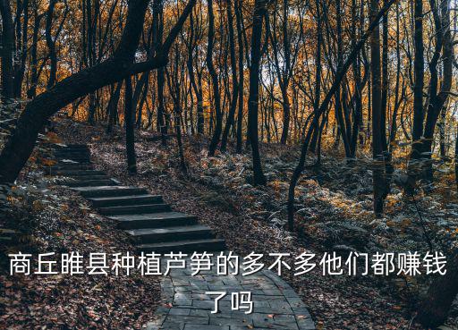 商丘蘆筍生意怎么樣,河南商丘農村適合做什么生意