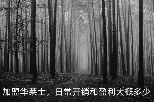 駐馬店華萊士加盟費(fèi)多少,華萊士加盟費(fèi)大概是多少