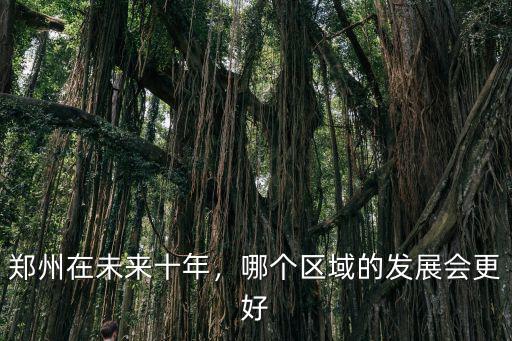 鄭州在未來十年，哪個區(qū)域的發(fā)展會更好