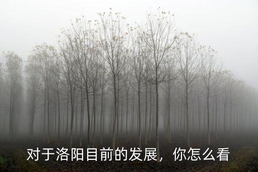 洛陽的發展史怎么樣,對于洛陽目前的發展