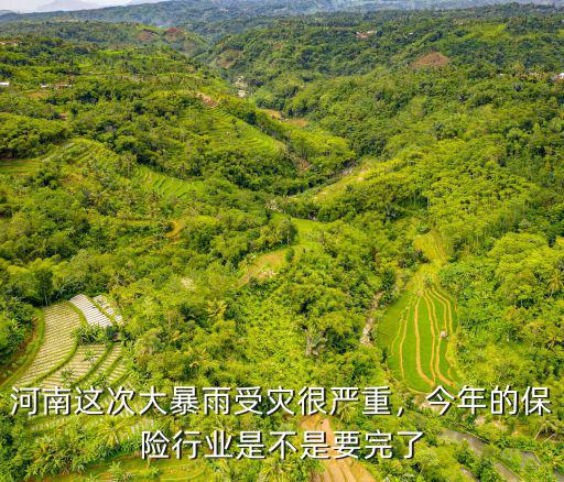 河南大暴雨平安保險(xiǎn)賠多少錢,河南這次大暴雨受災(zāi)很嚴(yán)重
