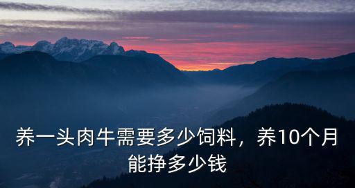 養(yǎng)一頭肉牛需要多少飼料，養(yǎng)10個(gè)月能掙多少錢(qián)